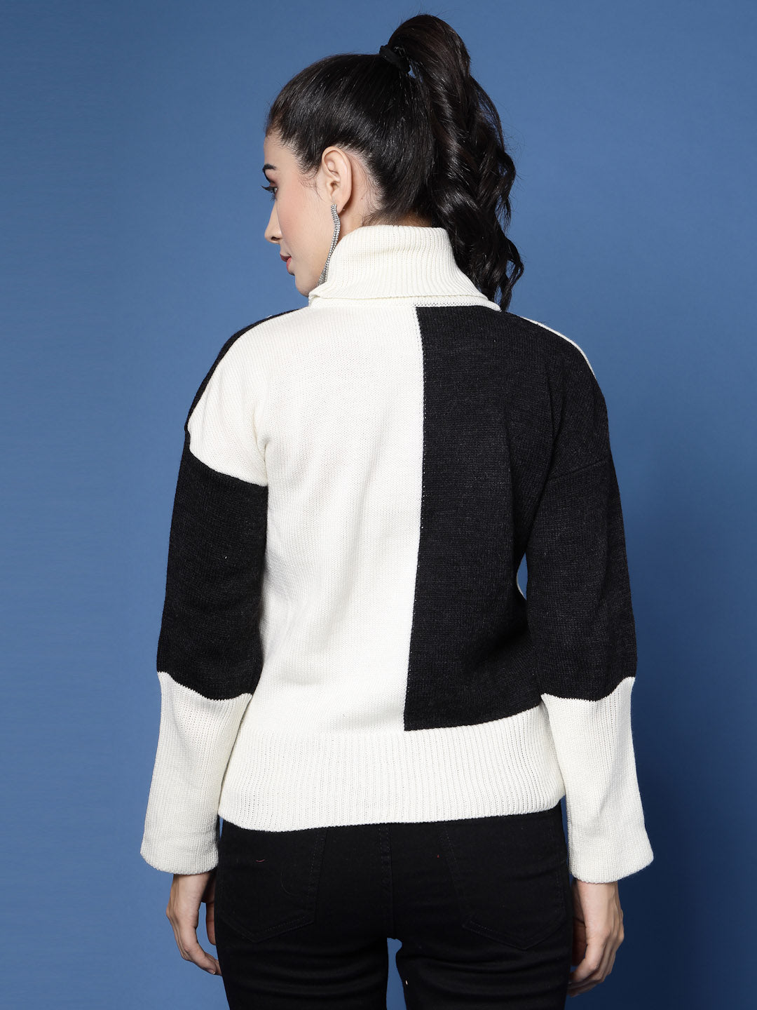 Turtle Neck Color Block Sweater