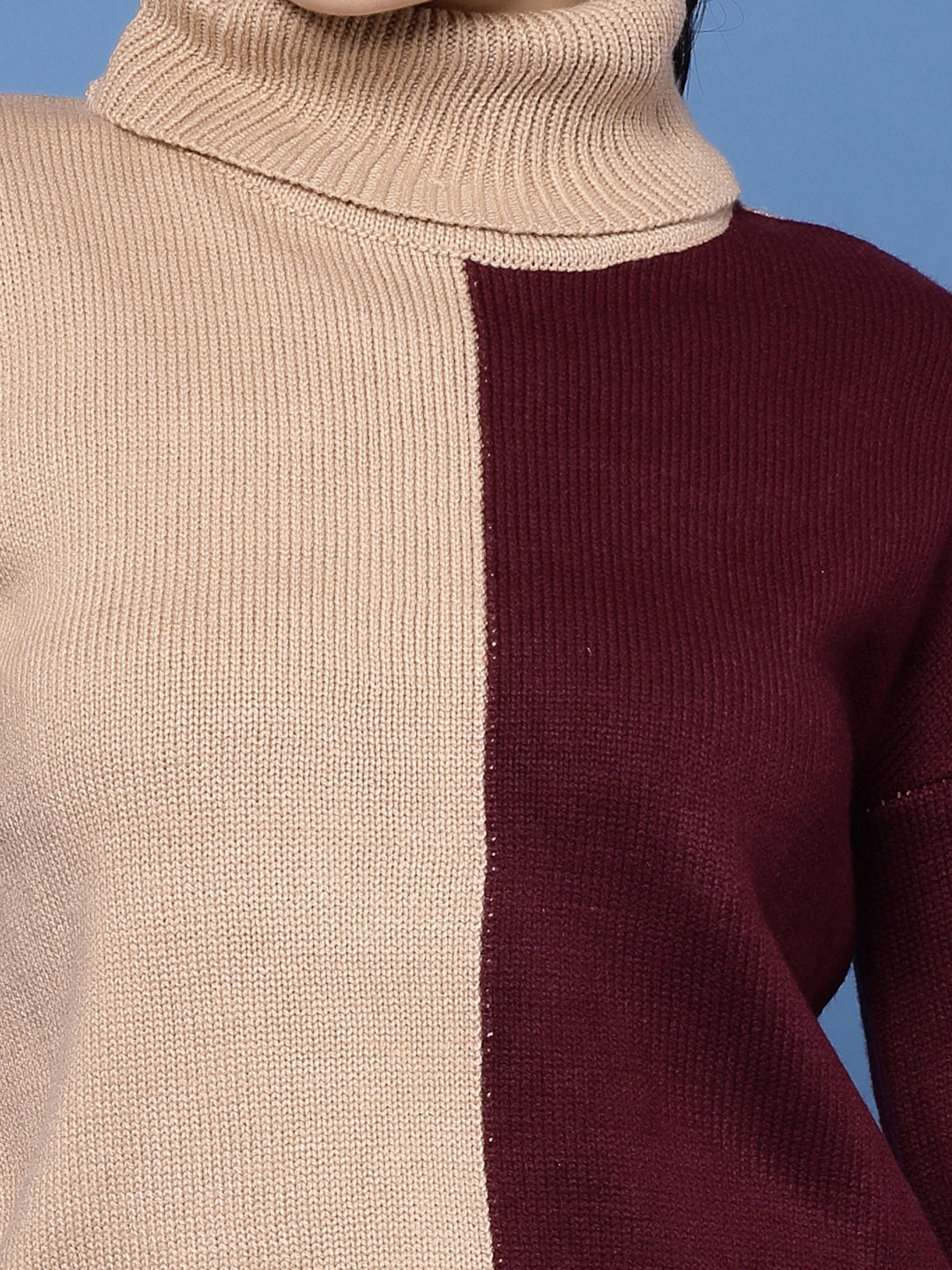 Turtle Neck Color Block Sweater