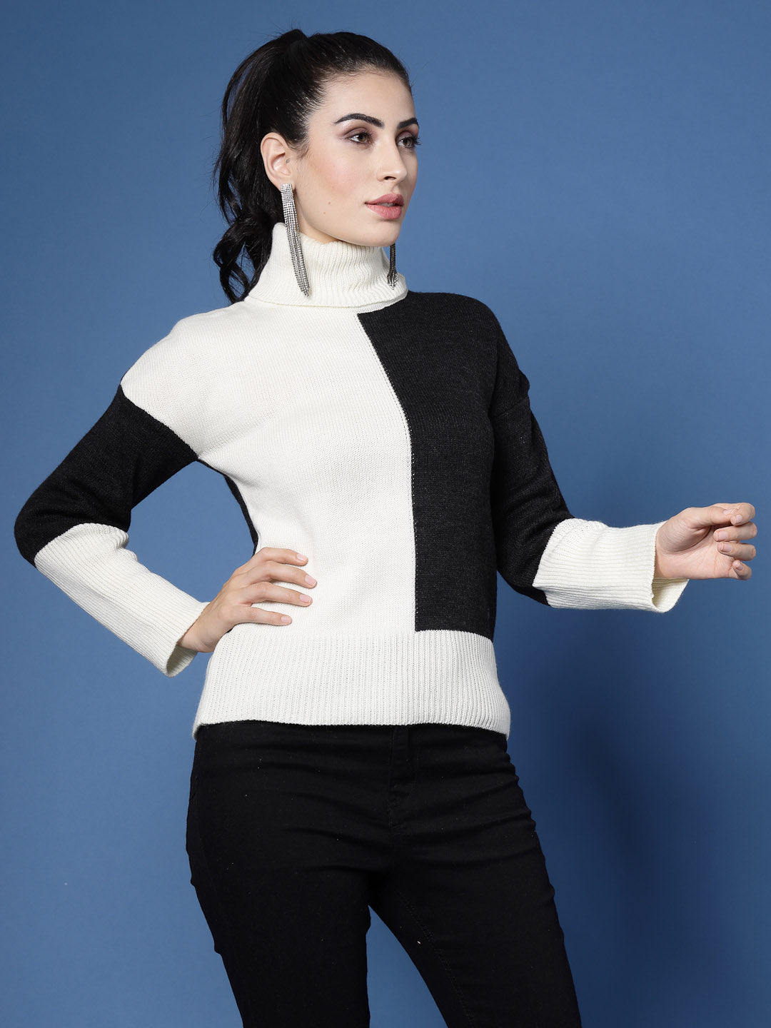 Turtle Neck Color Block Sweater